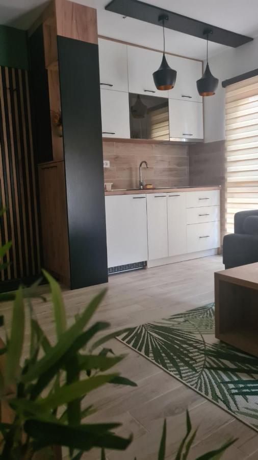 Divčibare Apartmani Part מראה חיצוני תמונה