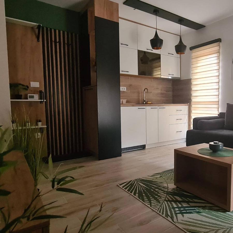 Divčibare Apartmani Part מראה חיצוני תמונה